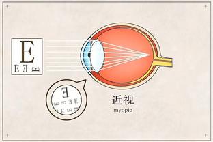 半岛篮球直播平台下载官网截图2